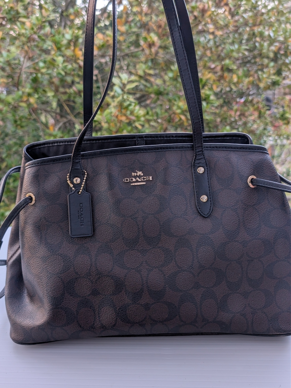 COACH Signature Canvas Tote in Brown/Black